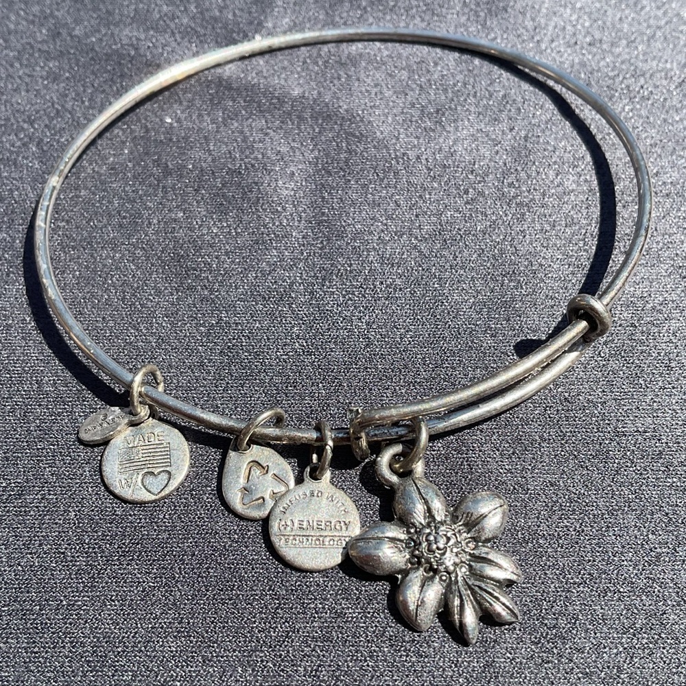 Alex and Ani Retired Apple Blossom Charm Silver Stackable Expandable Bangle
